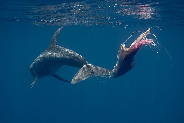 Cardiff University tweet media