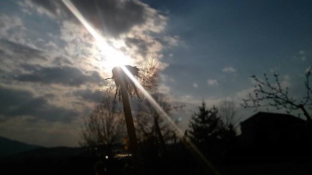 CatchArtWorld's tweet photo. Spring is coming
#art #natureart #nature #spring #springiscoming #sun #sunny #photooftheday #photo #photography #bluesky #photoart #dandelion #beautifulday #beautifulphoto #catchartworld https://t.co/wDVOrZLbGF https://t.co/HTduy2MjS9