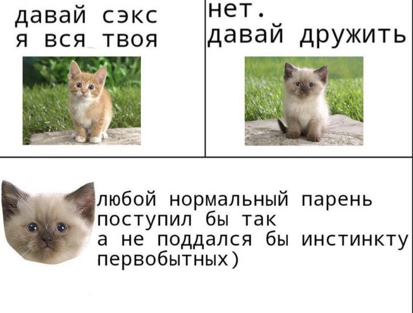 D2QNX1IWwAAxjXM?format=jpg&name=900x900