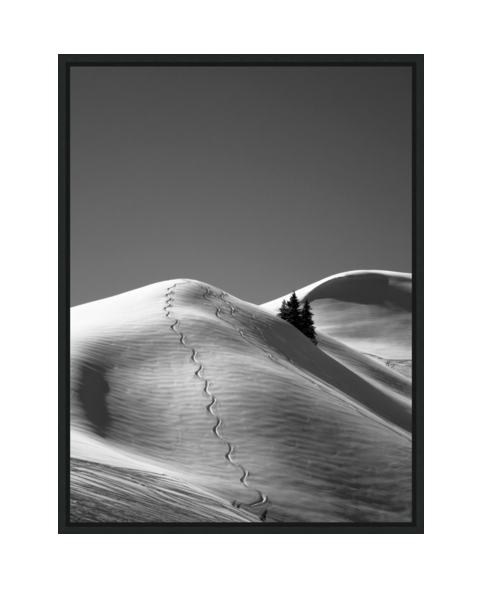 PowderHoundLDN's tweet photo. We also offer an #art #consultancy service whereby we will take a brief from you and put together a proposal of #artwork for your space . We have a huge archive of our own with access to a wide variety of #artists and #photographers. https://t.co/Y2YB97K4uj https://t.co/axx17Up9ud