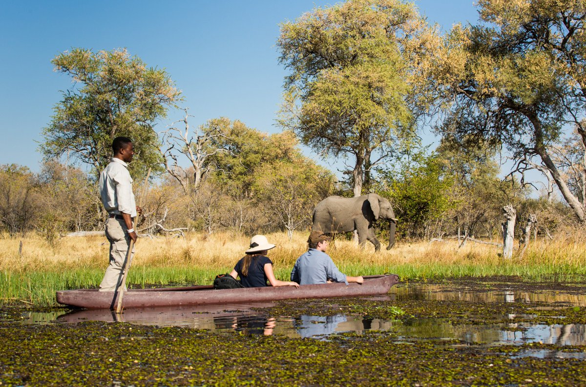 classicport's tweet photo. We are delighted to welcome MACHABA SAFARIS in BOTSWANA &amp; ZIMBABWE as the latest addition to Classic Portfolio. The addition of the Machaba Safaris circuit with 7 unique camps in 4 wilderness locations makes the perfect Classic Portfolio partner. #classicportfolio #machabasafaris https://t.co/Uo6FXg4mL5