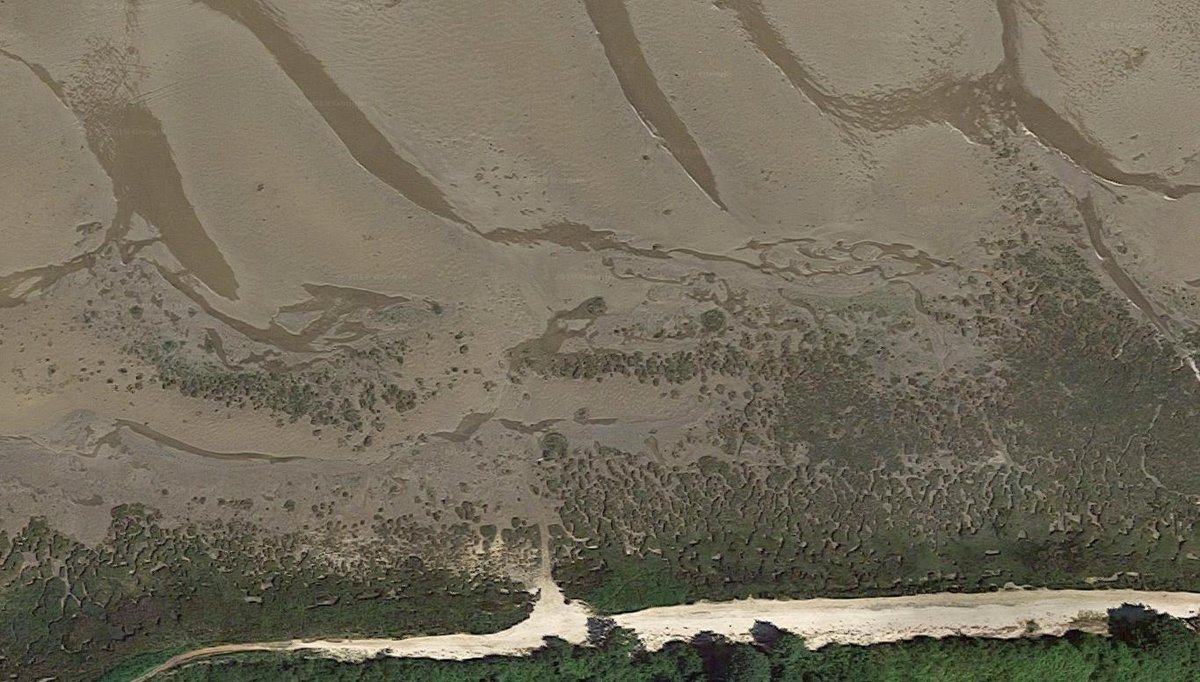 At low elevations plant shoots alleviate harsh conditions for neighbouring shoots (i.e. slowing water, capturing sediment). Such a plant-plant ‘facilitation’ is key to make plant patches more resistant to waves & is responsible for the speckled look of a marsh front from above.