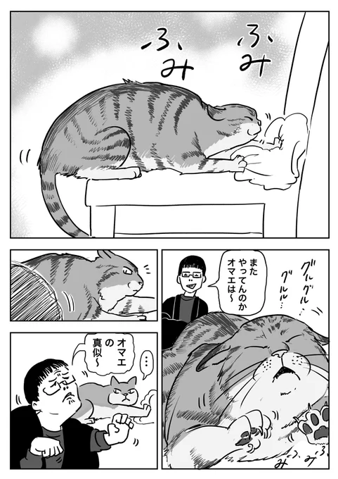 兄と猫の攻防#マンガ日記#勝手にコルクラボマンガ専科 