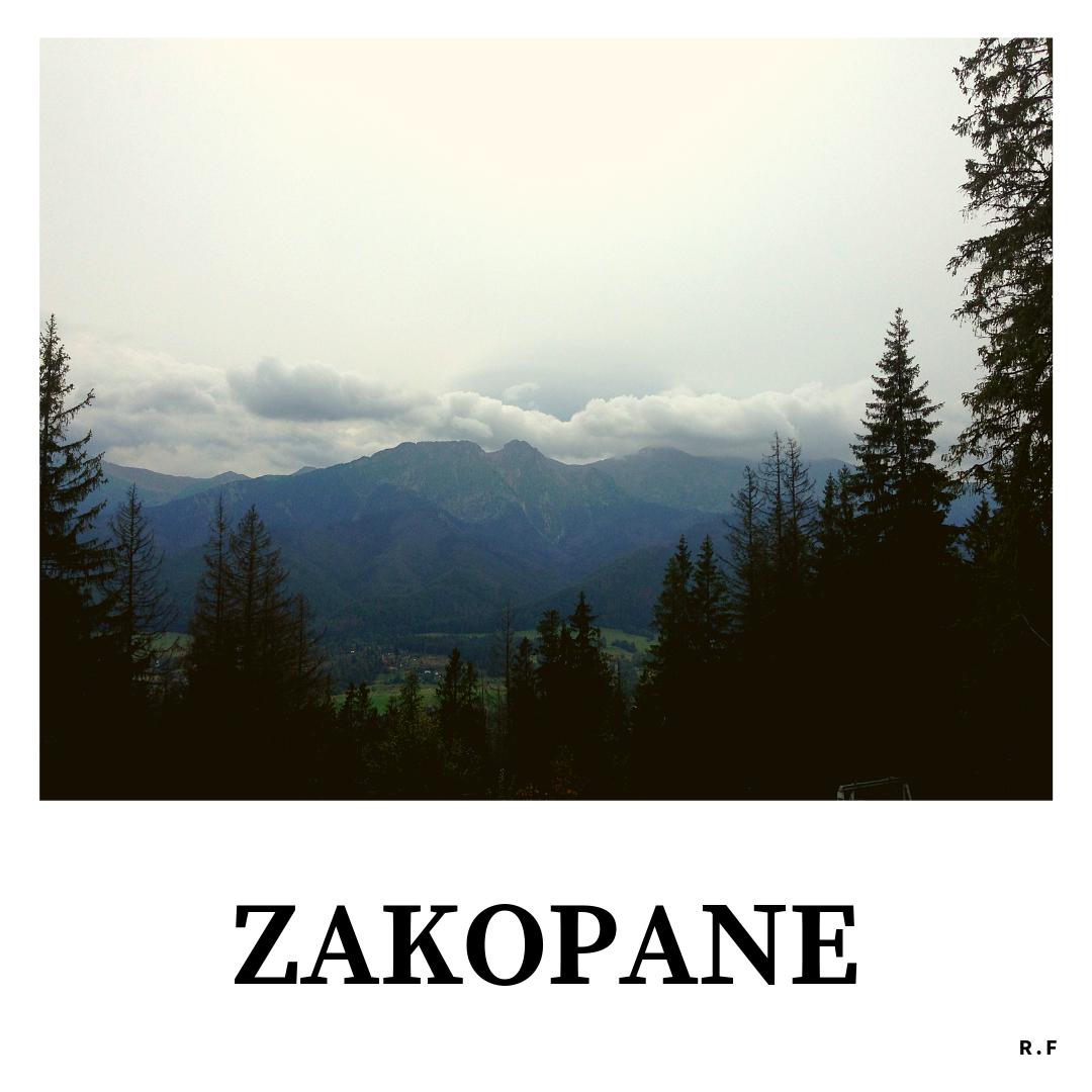 caledoniarf3's tweet photo. Wonderful views of Zakopane 📸📷
#zakopane #poland #viewa #magicways #photography #picoftheday #photooftheday #travel #travelblogger #blogger #travelphotography #instatravelgram #inspiration #traveling #happyWeekend
https://t.co/3GFNOl0rHe https://t.co/OxACUkUmSj