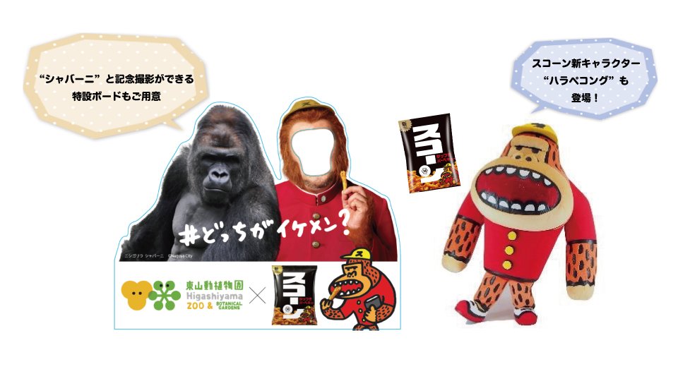 Uzivatel コイケヤ 公式 Na Twitteru さらにさらに 春祭り期間中の3 16 5 6まで シャバーニ と ハラペコング に関するクイズイベントもご用意 動物園内のコードを読み取って参加するweb形式です 正解すると合格記念として ゴリラマスター認定書 が