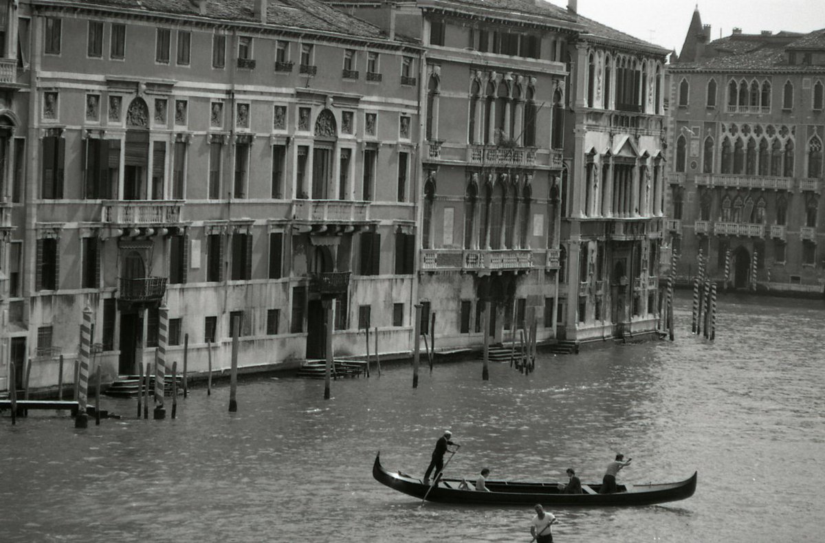 IveserVenezia's tweet photo. #traghettando #santomà #santangelo #canalgrande #canalasso 1977
[Paolo Monti @FondazioneBeic (CC BY-SA)] https://t.co/AORxSWbclH