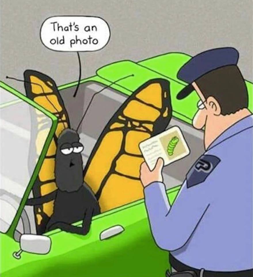 TyrezoneWP's tweet image. We all know what this feels like! #FridayHumour #OldPhoto #DriversPhoto #Tyrezone