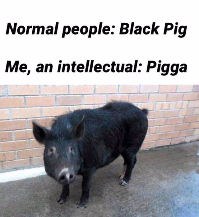 D2QVnQcXQAApmEi?format=jpg&name=900x900