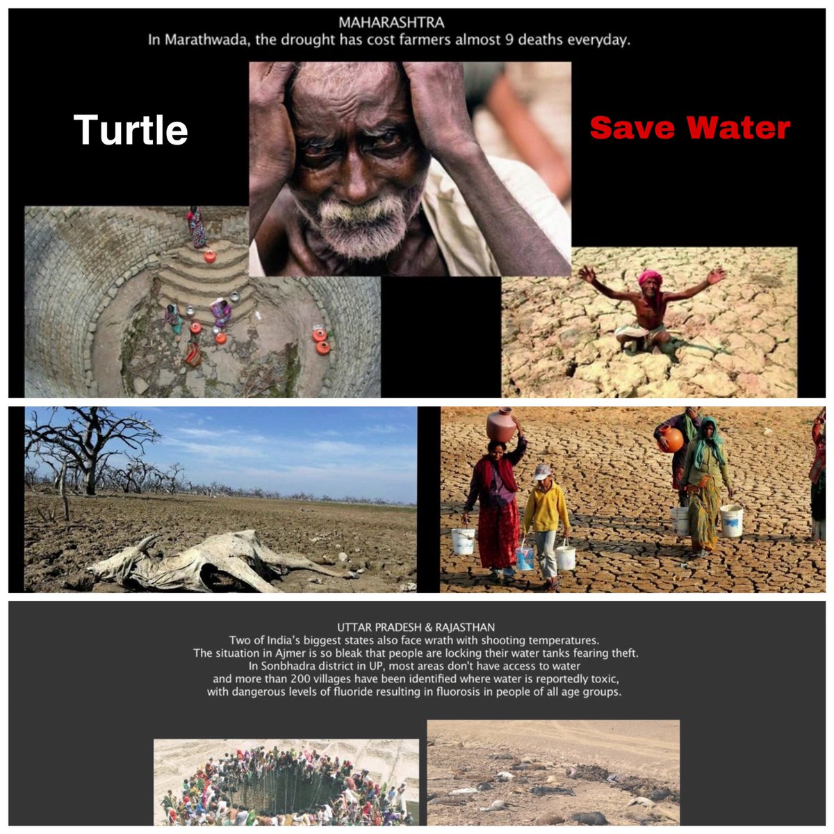 shivazzafilms's tweet photo. We can not #CreateWater but We can #SaveWater #Turtle is not abt save water but save yourself. #starring @imsanjaimishra #WorldWaterDay @ashwani_mahajan @kg_suresh @drharshvardhan @punitgoenka @nitin_gadkari @arjunrammeghwal @Ra_THORe @subodhag https://t.co/wzzuzAEZBQ
