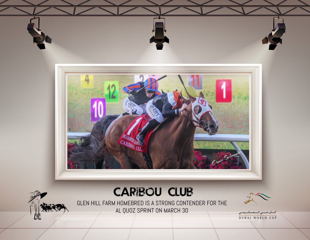 Dubai Racing (@dxbracing) / Posts / X