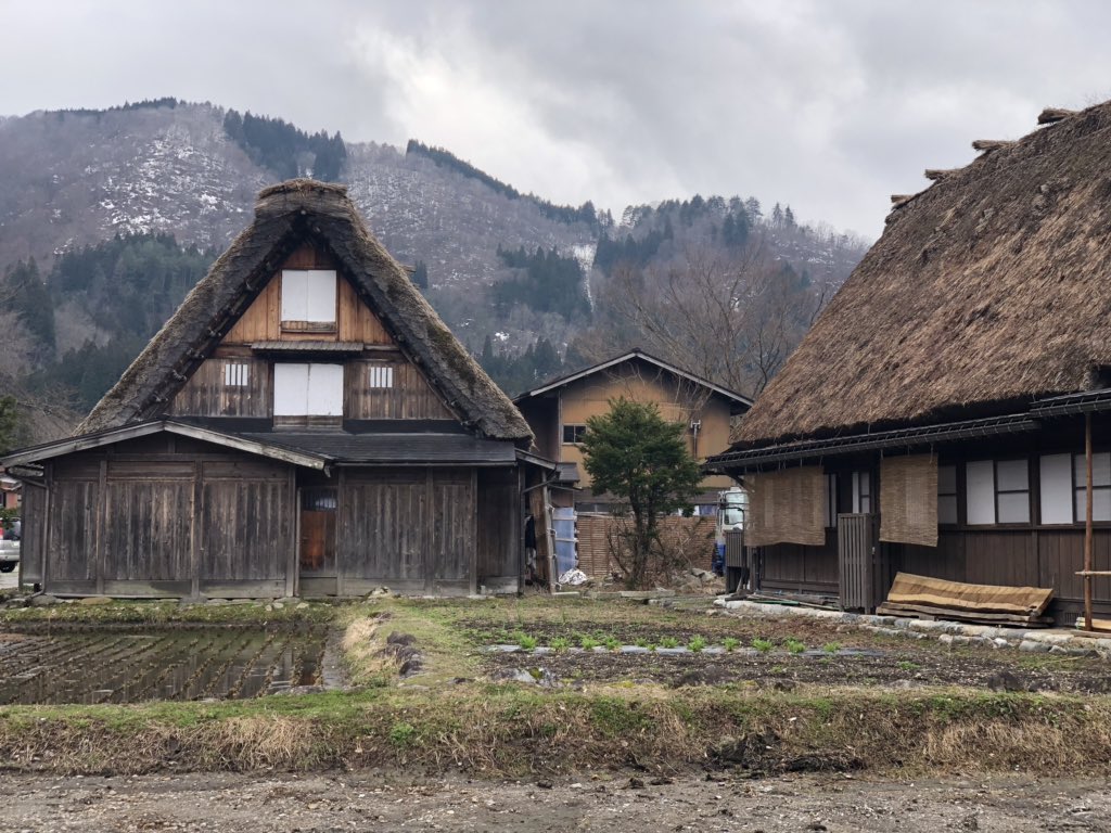GabaJapan's tweet photo. Visited the beautiful Shirakawago today 😍😍

#shirakawago #japantravel #GabaJapan https://t.co/jfRZmxjT5z