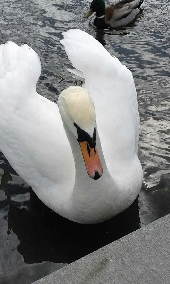 <a href="/taxi_ede/">VIEdeTAXI</a> OHHH MERCI mon ANNY. 🌸😊🌸🌹🌹 You have your things. 😘😘You are the sweetest ever 🌸🌸