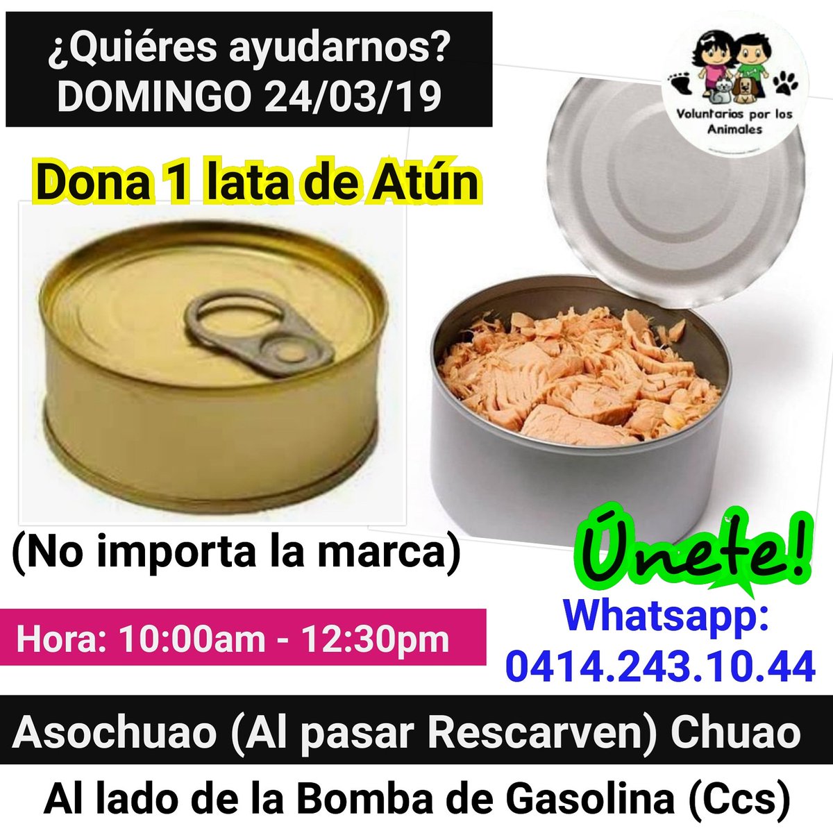 asoc_vpla's tweet photo. Desde las 10:00am puedes Donar #1latadeatún para tantos gaticos rescatados que mantenemos! #NadaesPoco Hasta las 12:30pm en ASOCHUAO. Diagonal al #HotelEurobuilding, a lado de la única #BombadeGasolina de Chuao #Ccs https://t.co/P8T4siwYM9