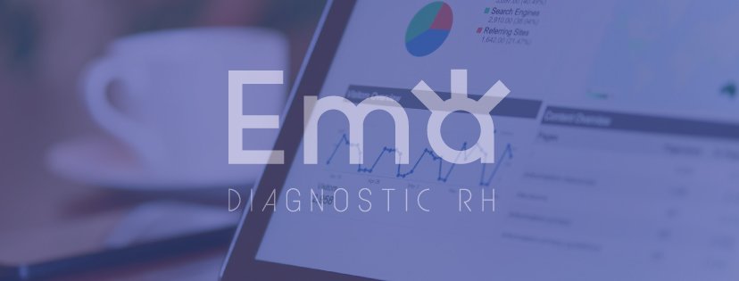 AUDIT_RH's tweet image. #Consultants #RH, développez votre chiffre d’affaires sur du long terme grâce à Ema, votre futur logiciel de diagnostic R.H.  bit.ly/2A6Chad