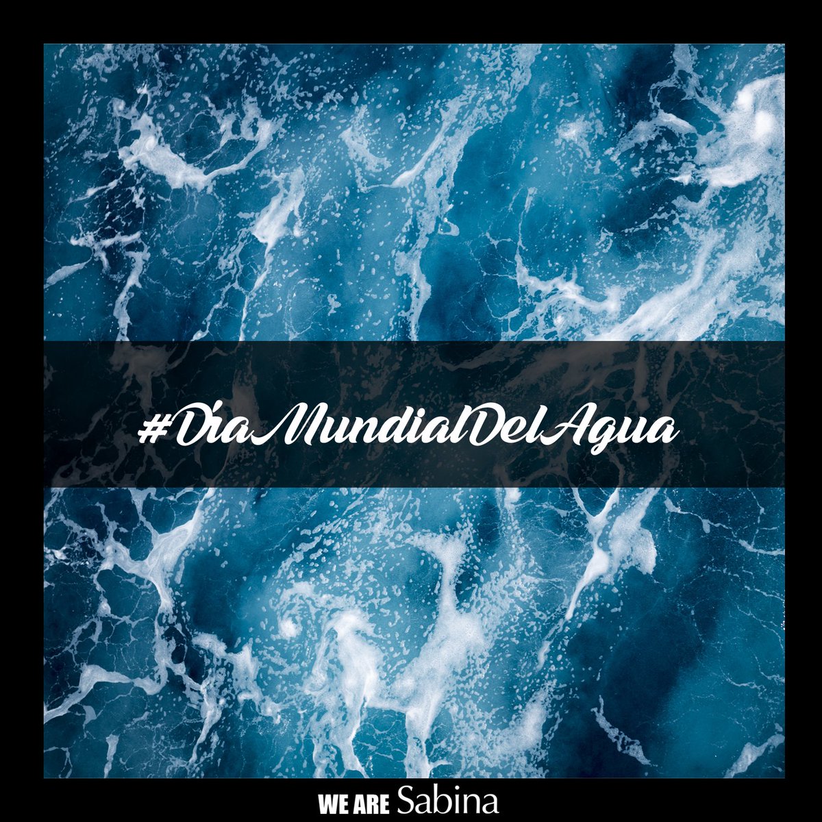 ¡EL AGUA ES VIDA!  

¿Sabías que 2.100 millones de personas todavía no tienen acceso a agua potable? 

¿Y que de las aves en mayor peligro de extinción en España, la mitad son acuáticas? 

En el #DíaMundialDelAgua te recordamos que no debería faltarle a nadie. No la desperdicies!
