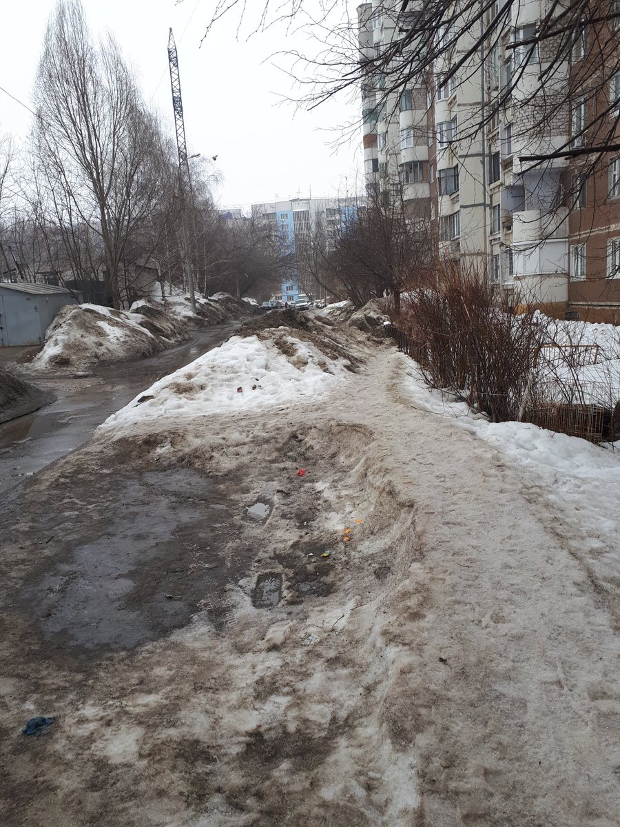 Светлана Журавлева (@Vm8eM2sWT2Sjad6) | Twitter