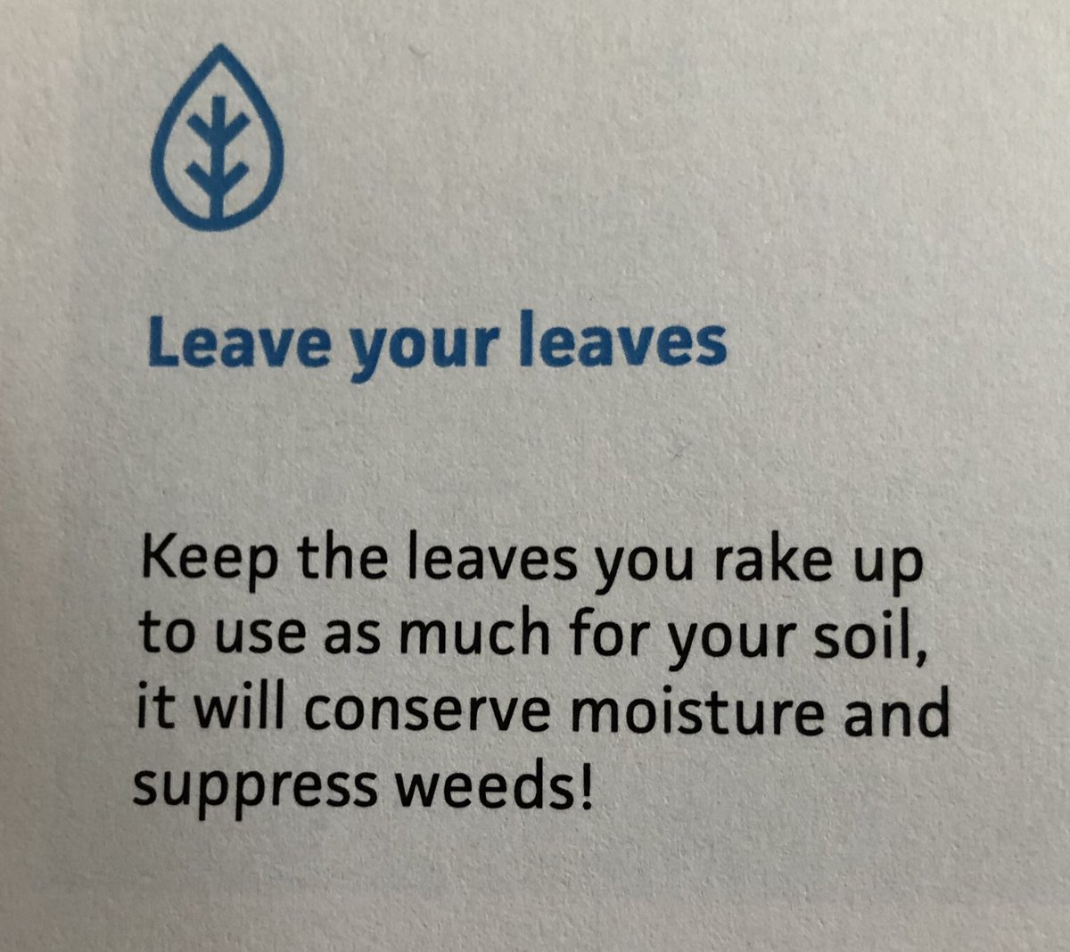 Dear <a href="/sewateruk/">South East Water</a> - I think you mean ‘consumption’ and ‘mulch’