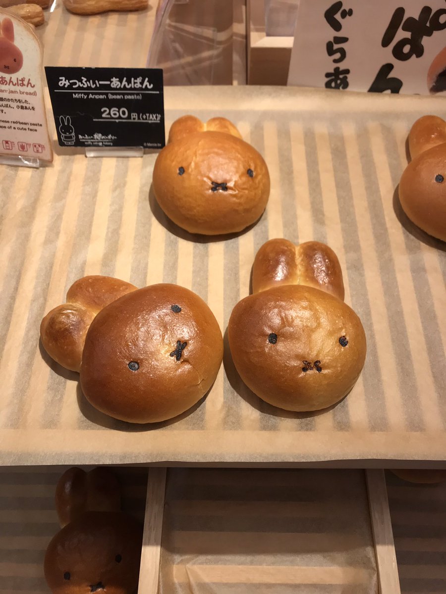 LJapan2019's tweet photo. Final day. Bamboo forests. Monkey mountain and so many other things. Great trip!! https://t.co/WGnn06eUZV