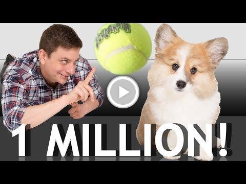 foranimallover's tweet photo. 1 MILLION!! https://t.co/WzWOMvAVC3 #staged https://t.co/pxMBMtF8zs