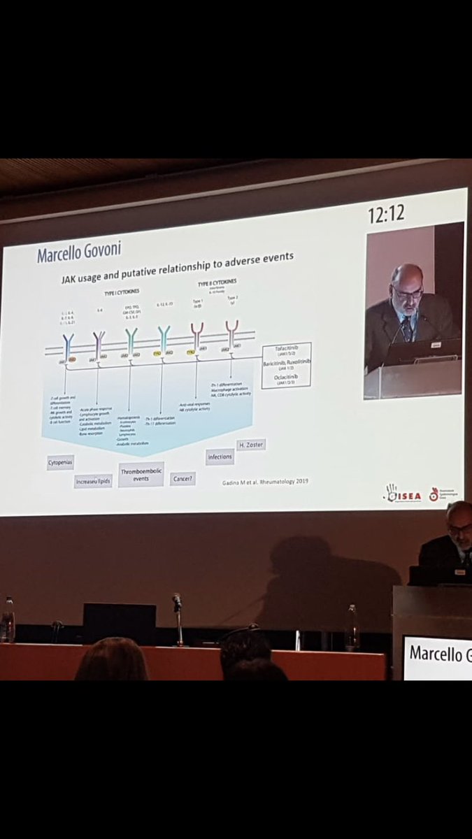 fabiomontini2's tweet photo. JAK inhibitors and adverse events #marcellogovoni #gisea2019 https://t.co/lBvHzVcGc5