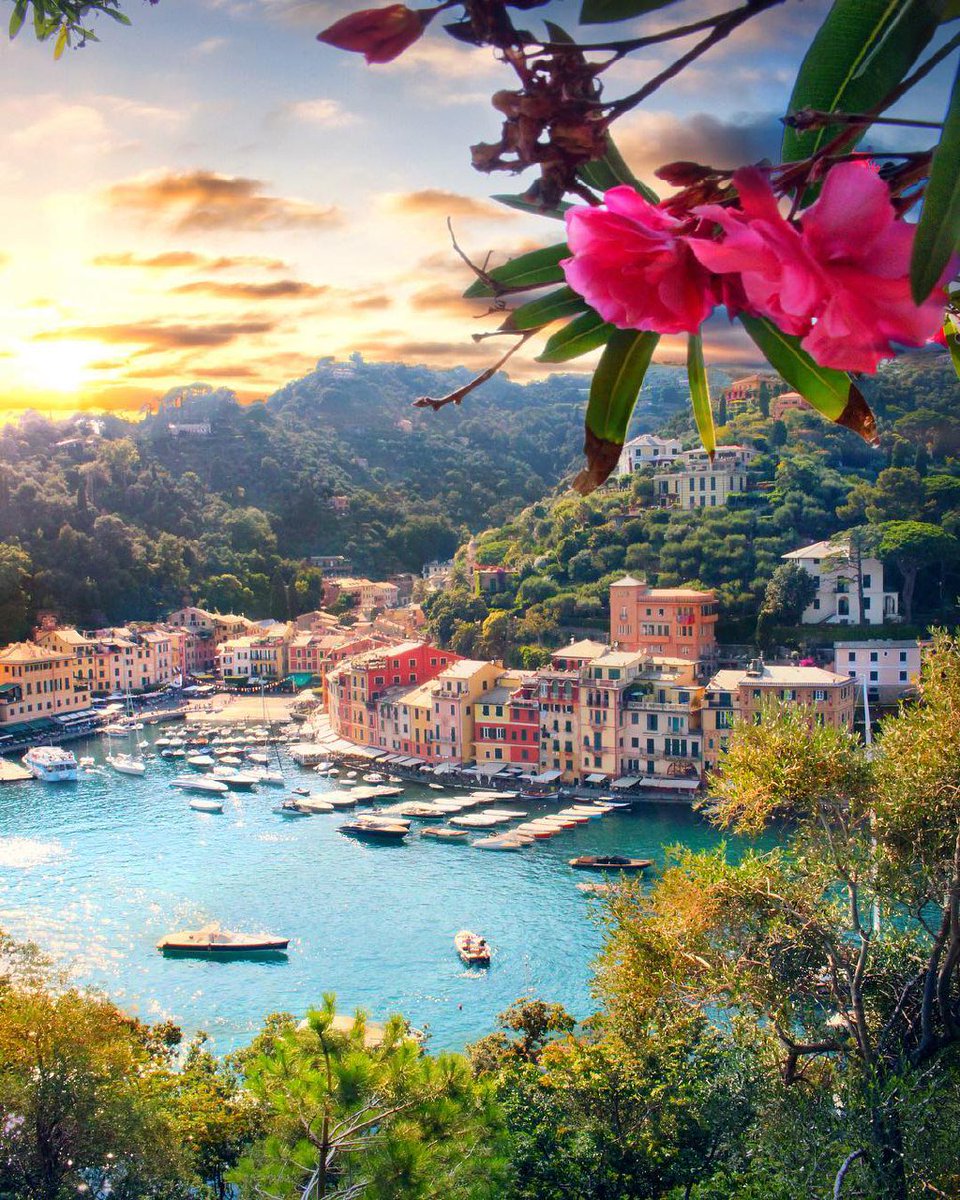 السَعــَادَة هِي أنْ تَكــسَبَ أشخــَاص.

ٌ لَا يَجـيدُونَ الَتصَـنُع وَ لَا يتلَاعَبُون.

َ بَـ الأقنـعَه ، تَغيب عَـن أعينهُم.

 فجـَأه وَ لَكـن لَا تَغيبُ عَنْ قُلوبهُم  أبـداً..

مساء الخير 🌹💐