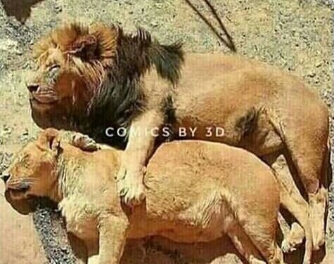 Murrshaadd's tweet photo. Friend: Ek Romantic Sa Sherr Bhej Teri Bhabi ko Impress krna Hai.
Me: https://t.co/U2sbvXrkuz