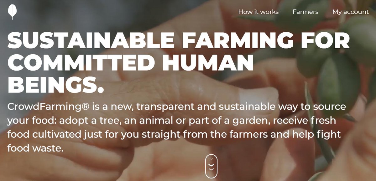 Our ##FF today goes to <a href="/crowdfarmingco/">CrowdFarming</a> an initiative aiming at fighting food waste through planned and sustainable #agriculture  💪🏻💪🏻💪🏻