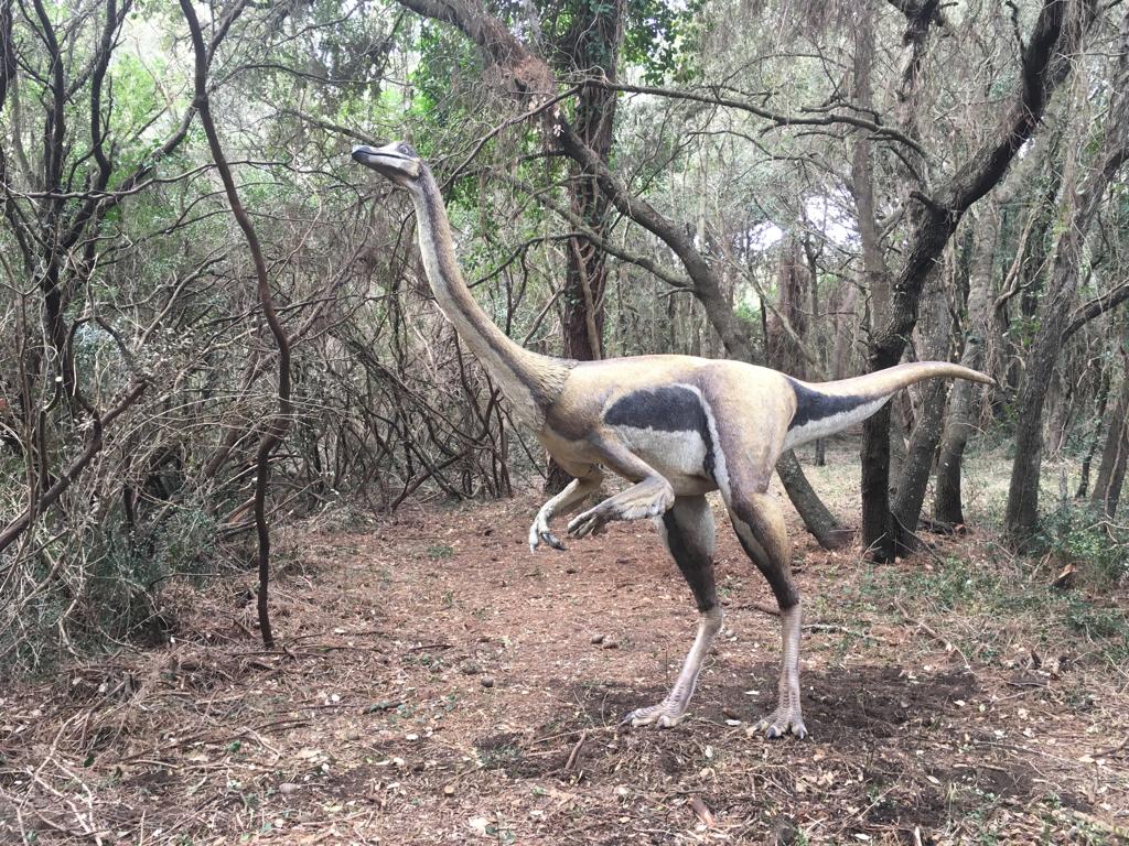 WWFitalia's tweet photo. "Creare dall'arte e dalla scienza qualcosa che si traduca in un emozione per tutti ma soprattutto per i più giovani" dice Francesco Marcone di @WWFOasi inaugurazione mostra #dinosaurincarneossa Oasi #WWF #macchiagrande #nonestinguerti https://t.co/5ghOq4LzhX