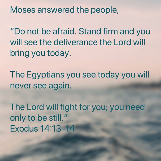 lecebug's tweet image. Standing on this