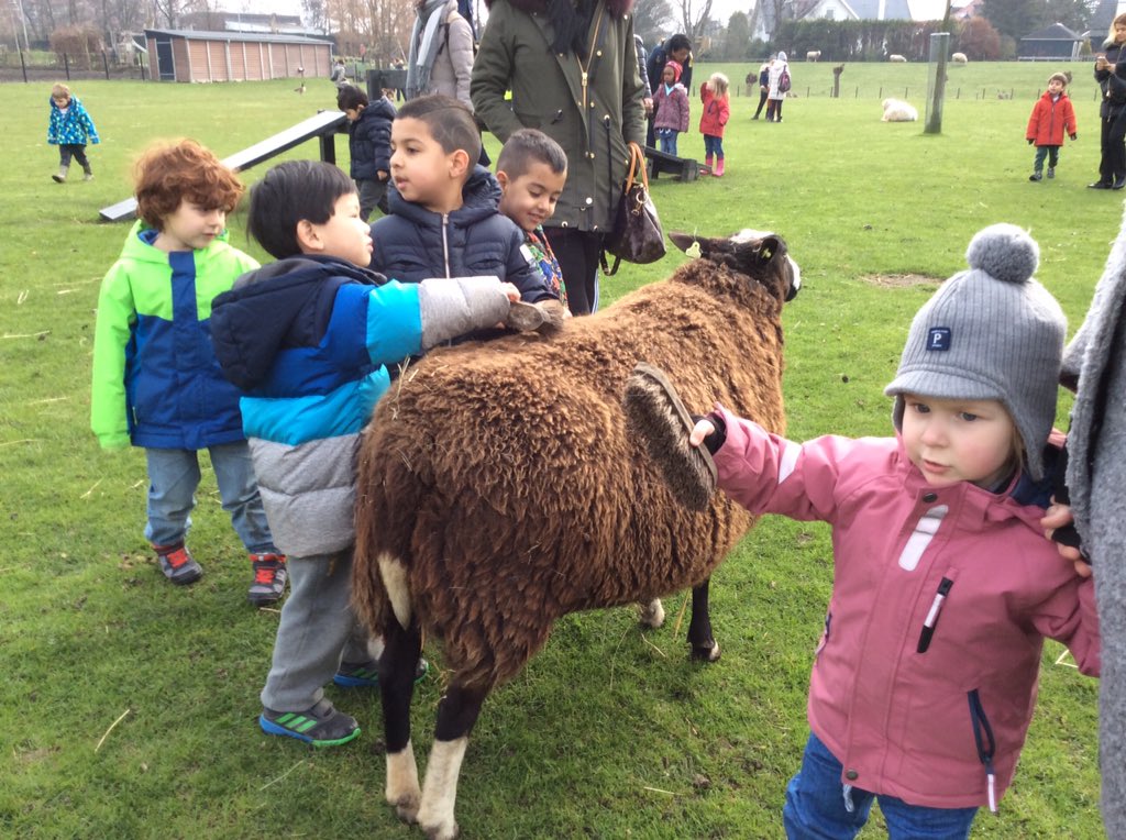 BSNJSL's tweet photo. A busy STEAM week in #jslf1. An exciting farm trip, a visit from Nurse Jay to talk about healthy eating and a visit from Mrs Elsley to show us how to bath her baby. https://t.co/eXf0HkIkxm
