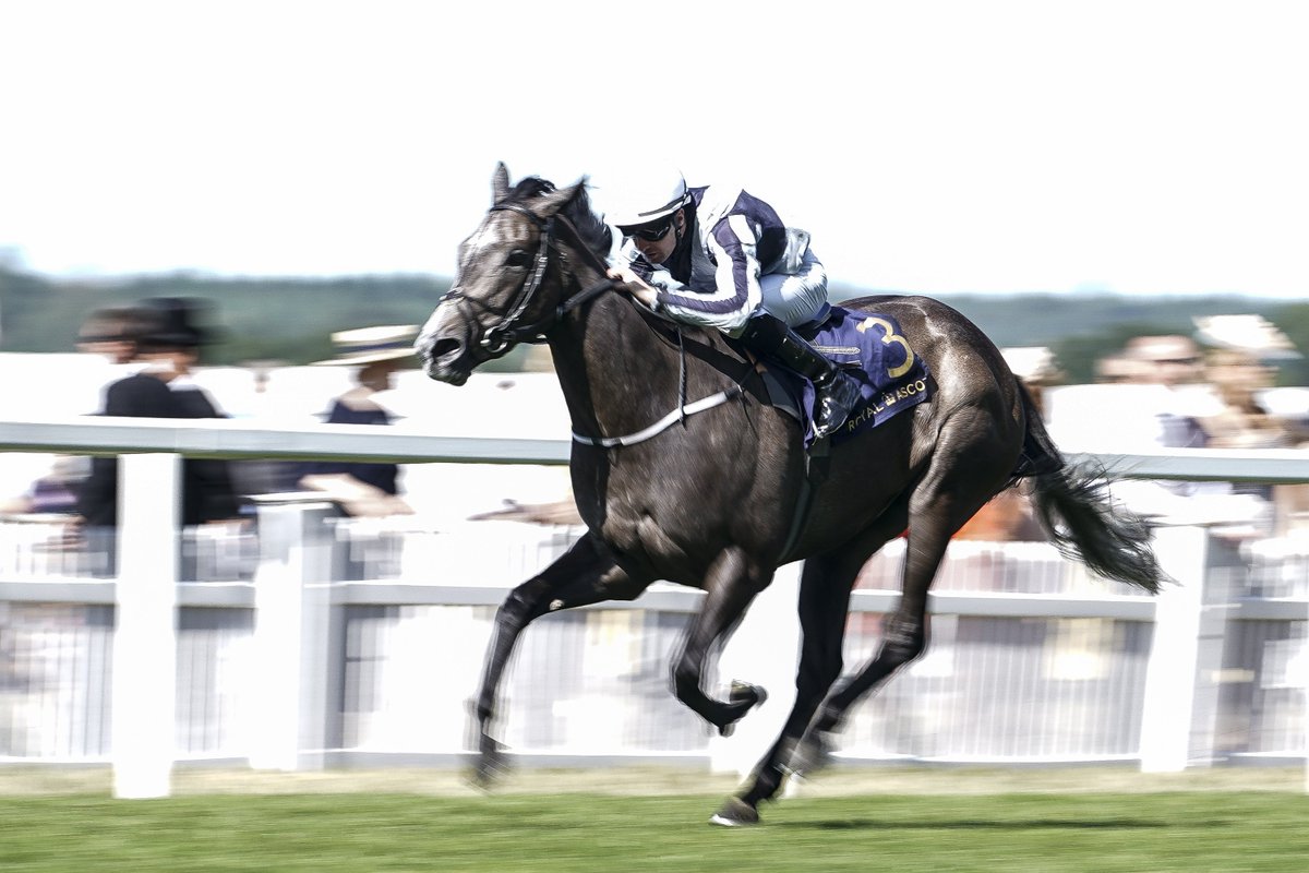 Ascot's tweet photo. What's your favourite #RoyalAscot memory? π€ https://t.co/cGf57xFsiG