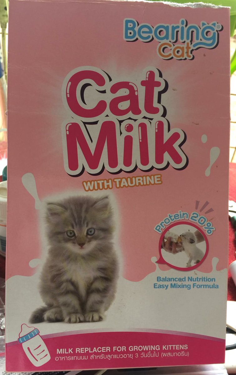 taal_animals's tweet photo. TOO MANY TINY KITTIES WITHOUT MOM 😭😭😭

NEED CAT MILK OF THIS SAME BRAND🙏🙏🙏

CAN’T FIND THIS SAME MILK TO NEARBY PET STORES NOR AT PET EXPRESS..

Does Anyone knows where to buy this Cat Milk please... the kitties love this milk than the Goats Milk 😔 https://t.co/G8cPZHkFkD
