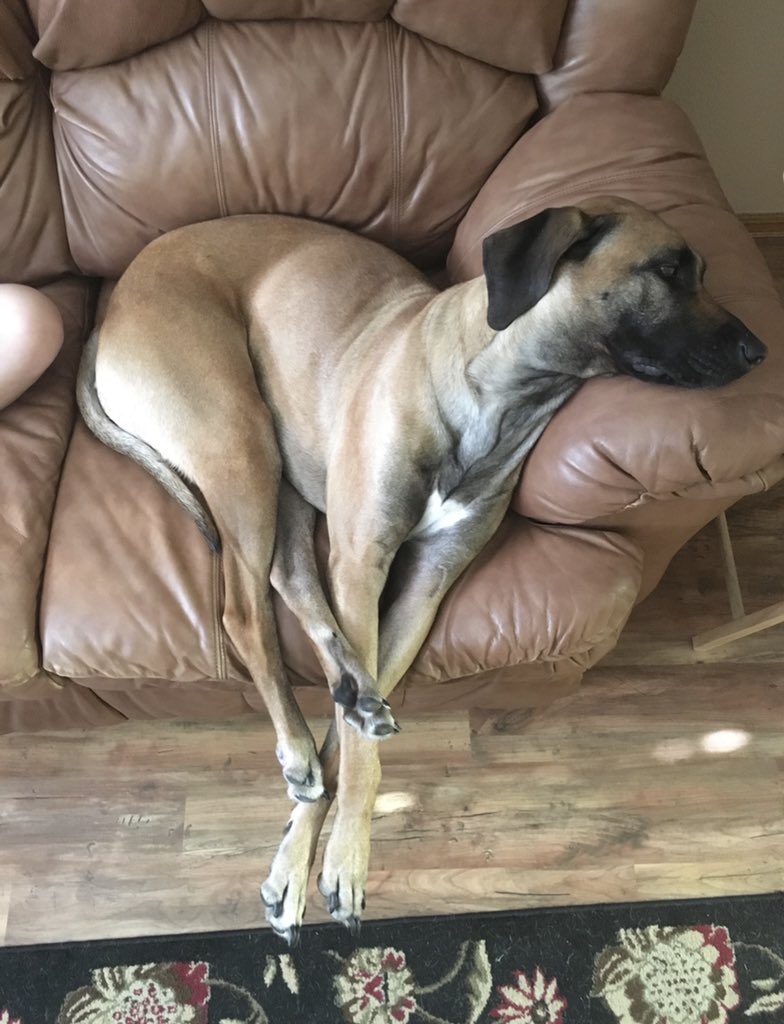 Scott Ownbey tweet media