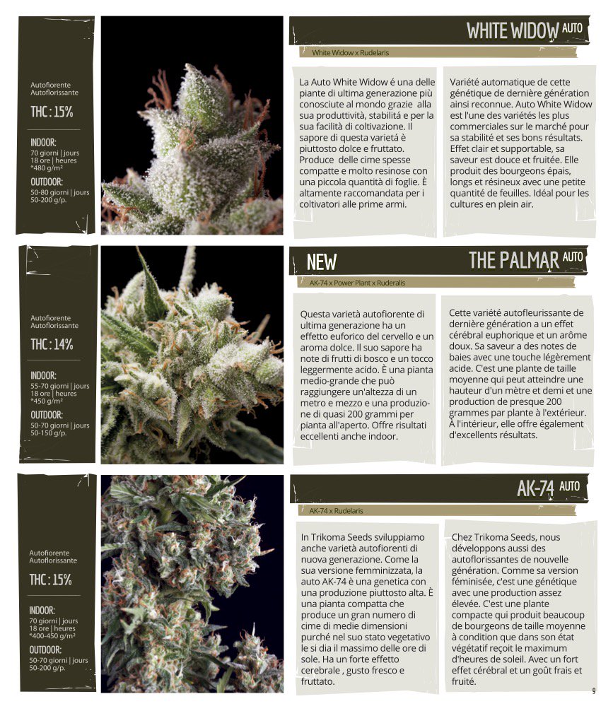 Trikoma Seeds On Twitter Catalogo 2019 It Frv Cannabisseeds