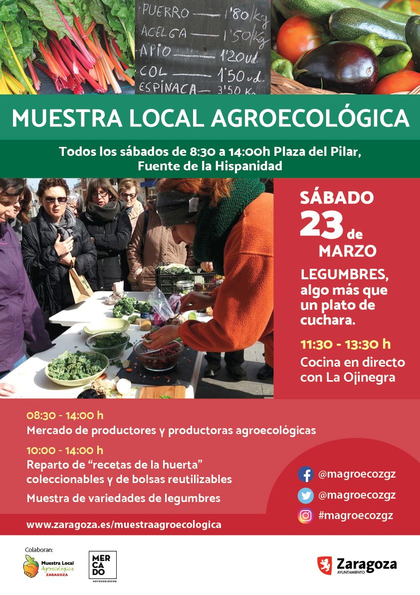 ZGZ medioambiente tweet media