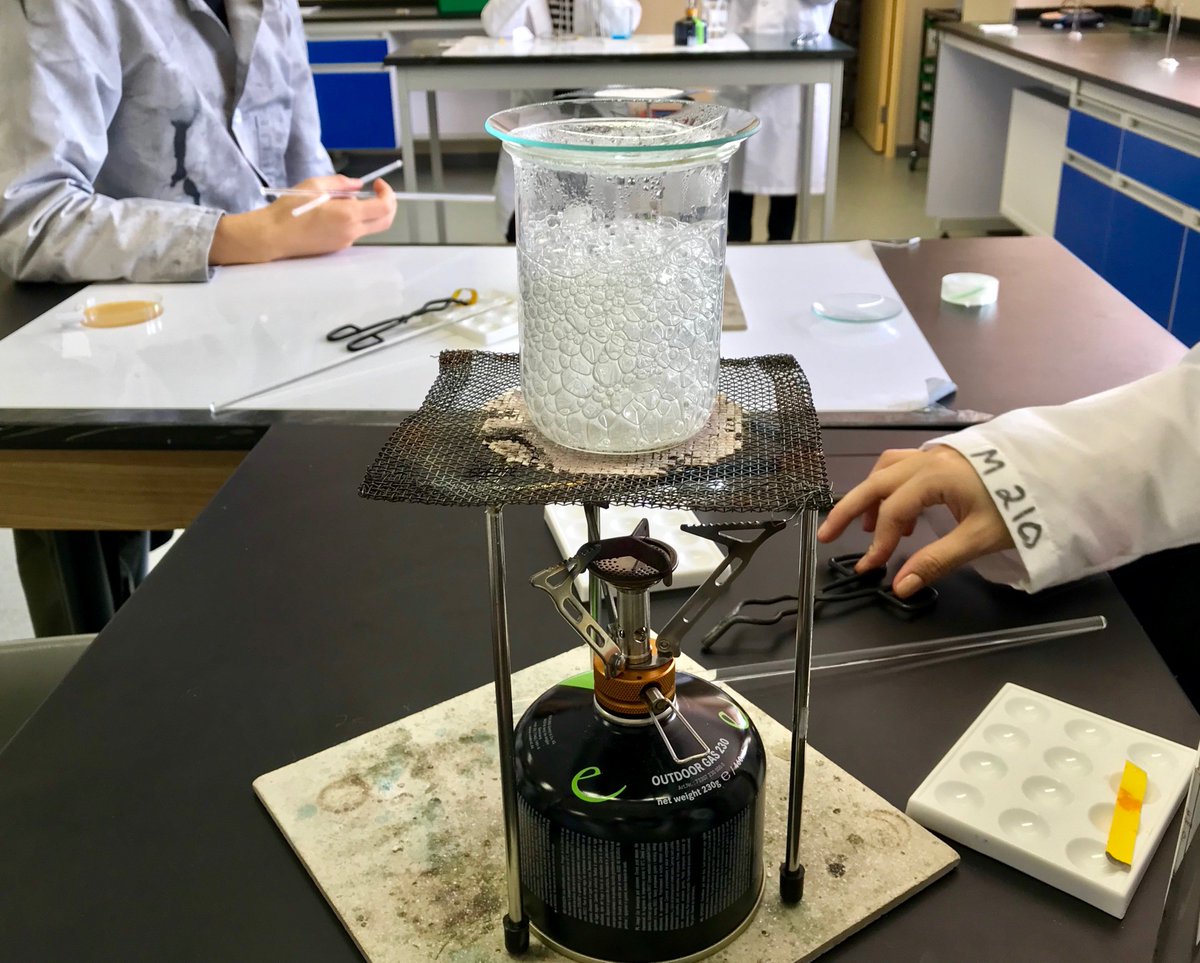 steppescience's tweet image. In their MYP unit Plastic Fantastic?, Grade 9 Ss made bioplastics from potato starch.  They are now designing experiments to see if and how the bioplastics decompose by exposing them to various environmental conditions. #bioplastics #mypscience #mypchat #isumng