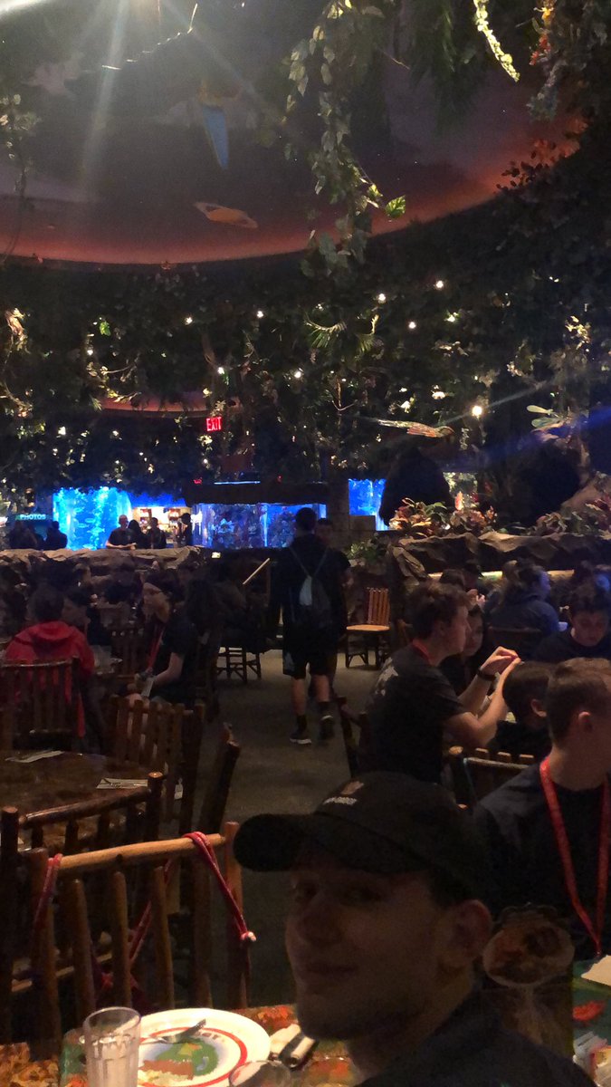 Day 2 breakfast at the Rainforest Cafe!