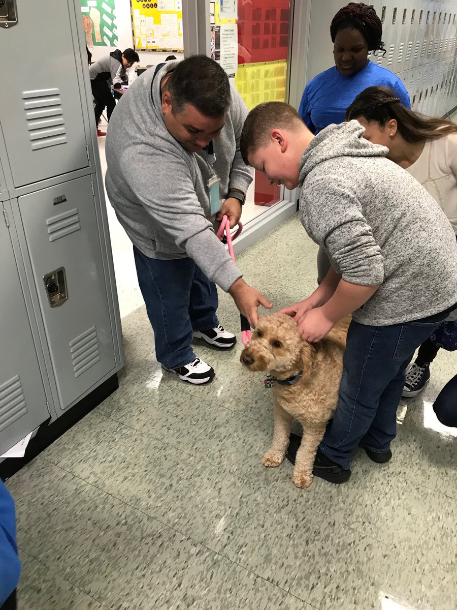 DMISapNoll's tweet photo. What a wonderful Friday visitor!!   Our Generals are loving this Gal.  Mr. Wood is going to be one popular teacher today.   ⁦@StambergDMIS⁩ ⁦@dmiswps⁩ https://t.co/qYQBaLUZaA