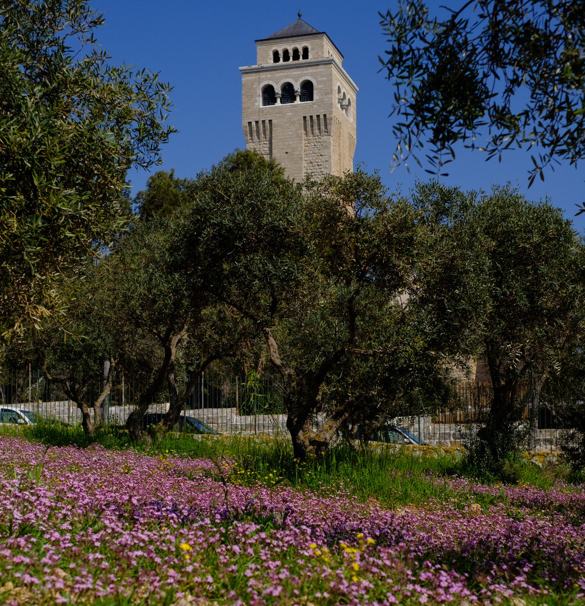 LWF Jerusalem tweet media