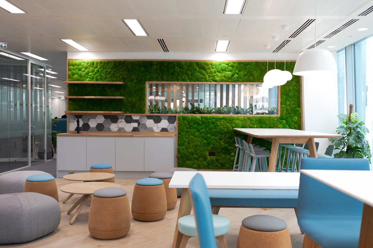 CSKProjects's tweet photo. Sustainable is the way forward when designing offices. @naeuniversity's new space in Victoria is filled with succulents and green elements throughout, in order to create a tranquil and warm environment for the staff and visitors. To read more, go to: https://t.co/3MWqhQkltn https://t.co/7bfeIW5i4B