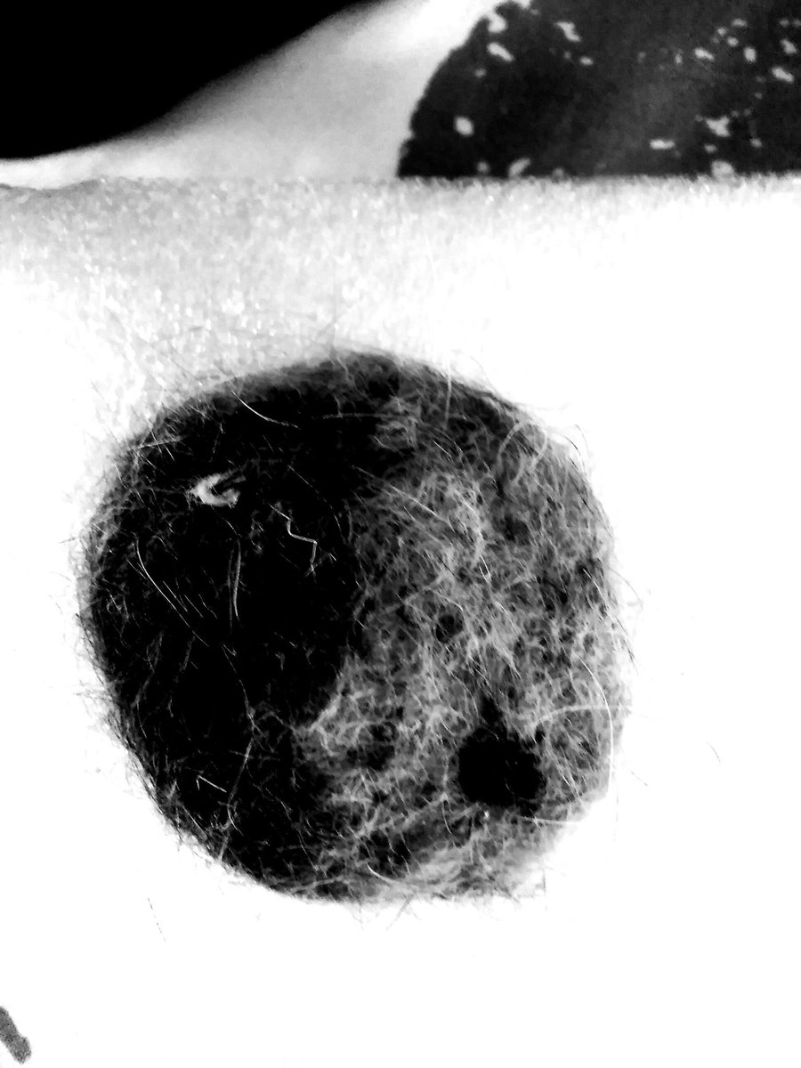EClowder's tweet photo. She stabbed it a few times to make it more artsy and made it black and white 😹 https://t.co/fMhJbmcaEu