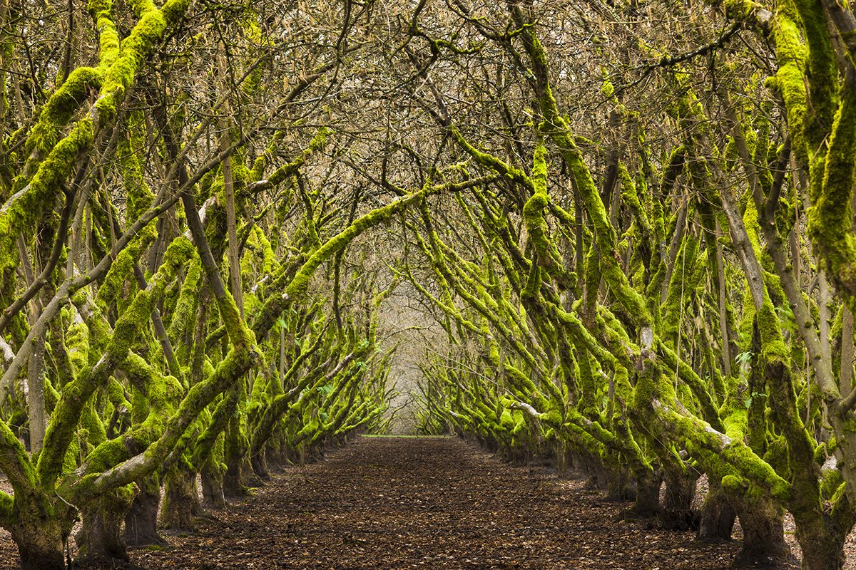 shutterstockDE's tweet photo. Mint Images aus London fertigt authentische #OffsetImages, die #Umweltthemen wie #Nachhaltigkeit, #Natur oder #Gesundheit begleiten 🍃 https://t.co/OiBJHar5hp https://t.co/iDc1xA17Fd