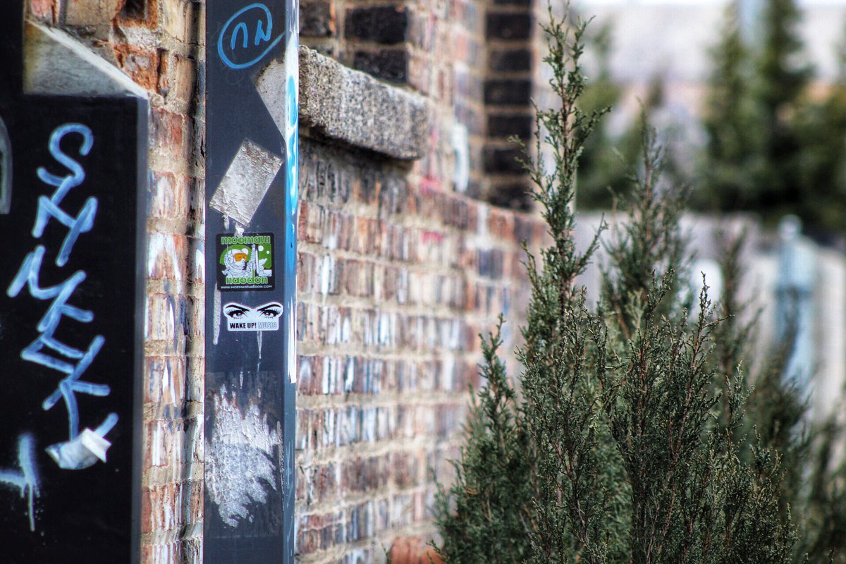 WakeUpMusicGrp's tweet photo. Our new @wakeupmusicgrp stickers in #Detroit! 😍 Start off your #weekend by checking out the #Music Videos for “How Do I Love Thee and “Get On Up!” by @MattWarrenWUM on our #YouTube Channel below; hit that #subscribe button, fam🔥🚀🔥 📸: @LifeBTMusic 

https://t.co/6jQO5jivHp https://t.co/fQQmAEsSHk