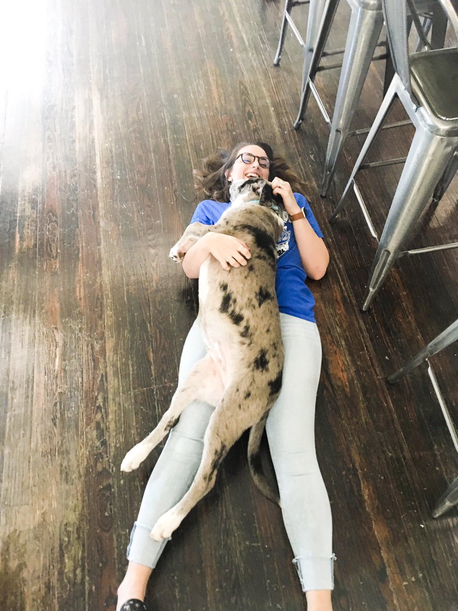 VantMarketing's tweet photo. National Puppy Day may not be until tomorrow, but every day is Blu’s day at the office 🐶

#NationalPuppyDay https://t.co/CxJFhk9h6l