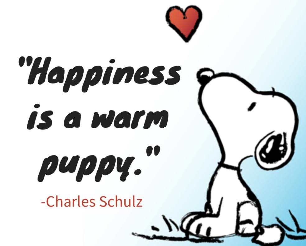 goodreads's tweet image. Who&apos;s your favorite fictional dog? #NationalPuppyDay