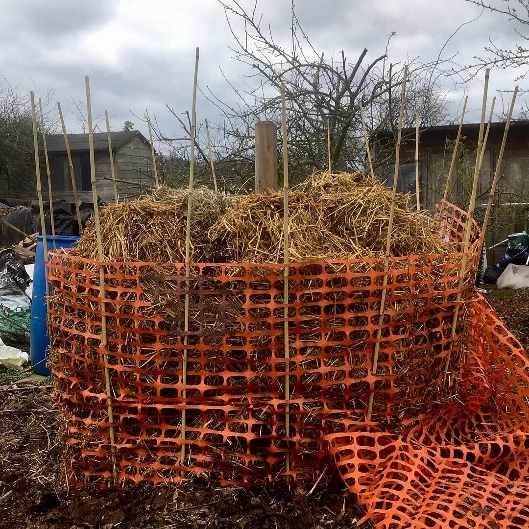 BoundaryWay's tweet photo. Plans are brewing at #BoundaryWay - Spring is here and we’re looking forward to a new programme of activities ... sign up for our newsletter via our website home page to keep up to date https://t.co/sP3Y7Y0KKy https://t.co/fIcTyqAh0R