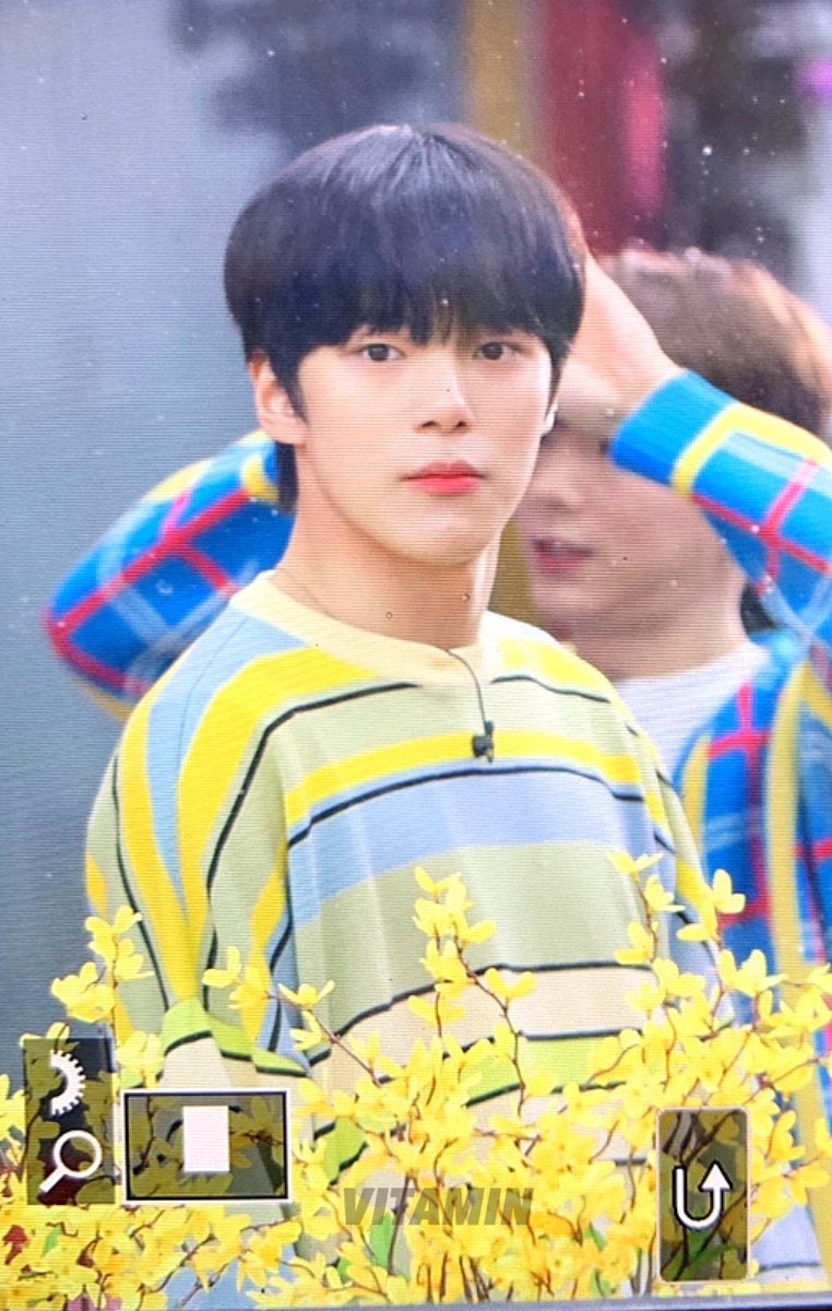 monstyling's tweet image. daisy boy 🌻 ♡︎ #민혁
 → 190320