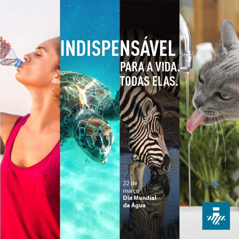 Viver com saúde é, também, viver em um ambiente saudável para todas as espécies.
🙂🐢🐈

Faça sua parte.
#DiaMundialDaÁgua