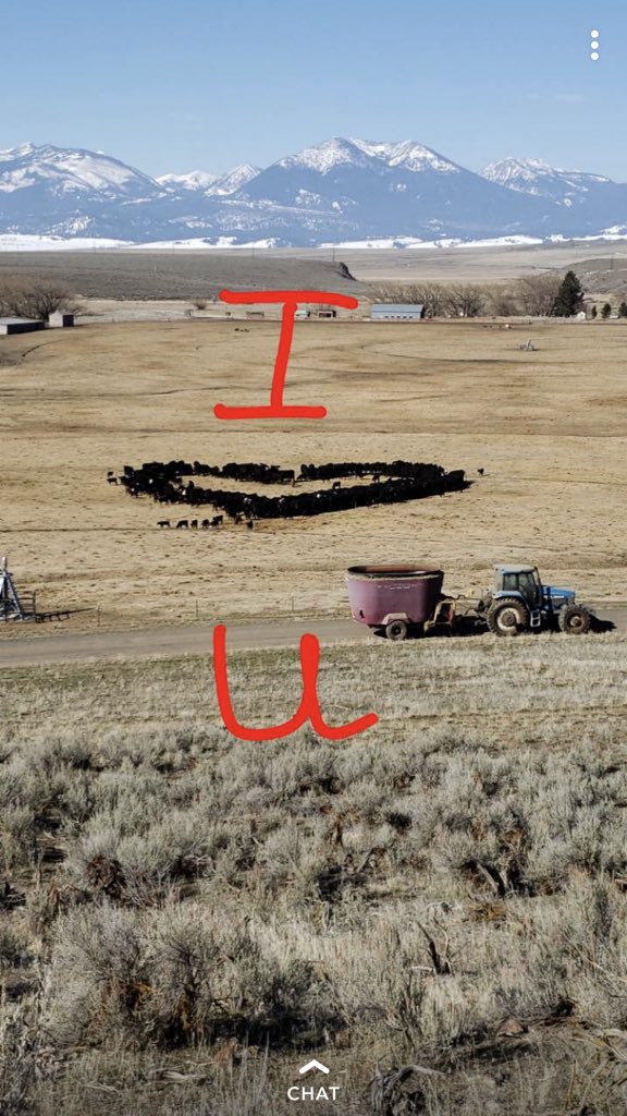 RaelinDavis's tweet photo. Logan’s out here feeding his cows in the shape of a heart for me... https://t.co/tFFtOmKi63