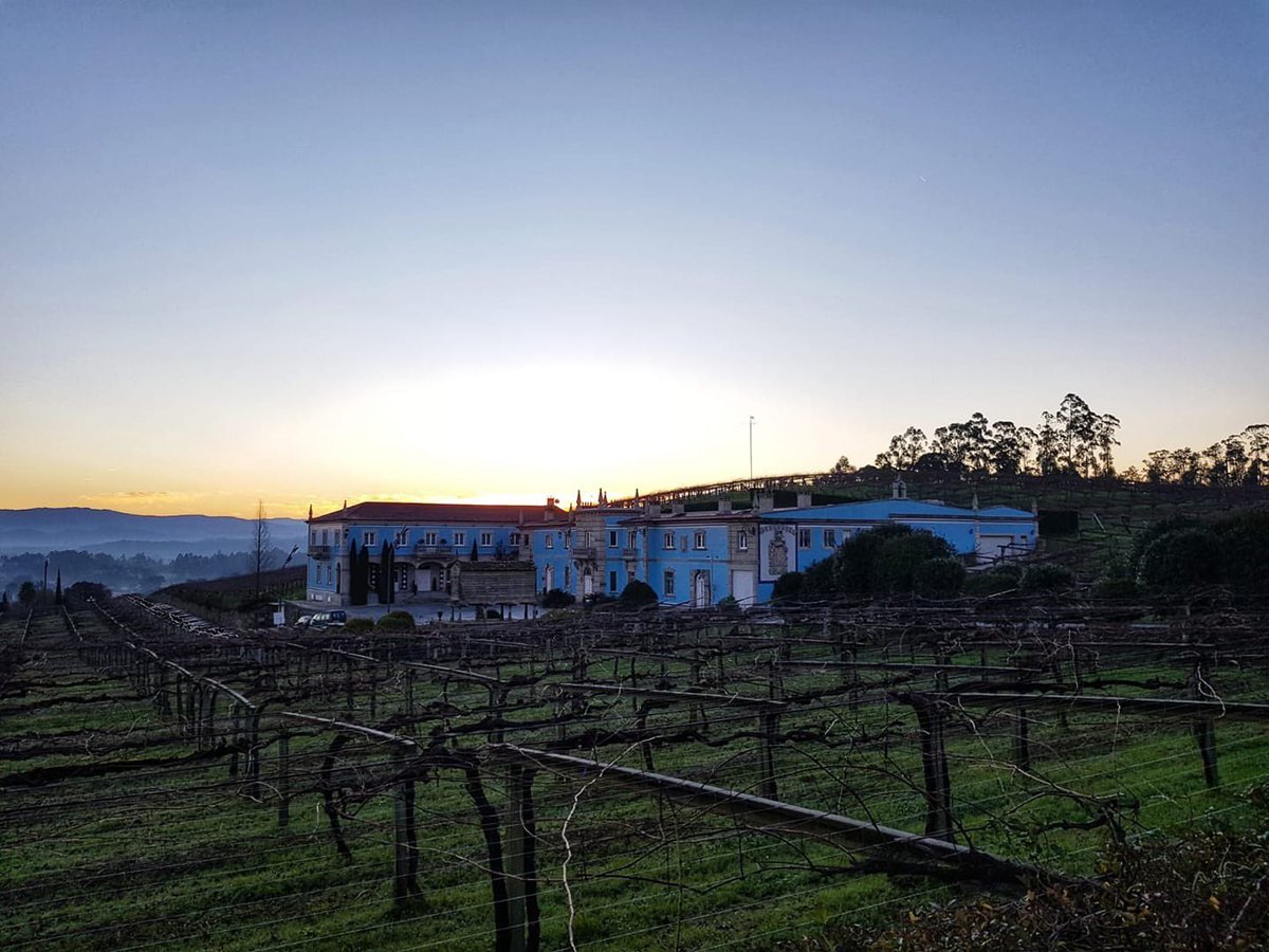 CocidoDay's tweet photo. Desde el #Salnés, comarca vitivinícola de la provincia de Pontevedra, se siguen sumando al @CocidoDay . En este caso es el restaurante de la @bodegagranbazan . Por si acaso, vete llamando para reservar...

#cocidoday https://t.co/1fSlu61tRB